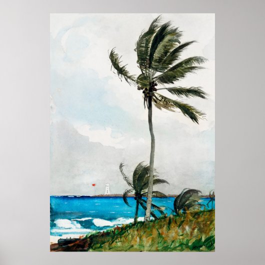 Homer's Palm Tree, Nassau Poster (Vorne)