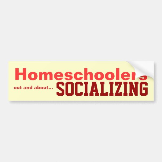 Homeschoolers - gesellig seiender Aufkleber Autoaufkleber (Vorne)