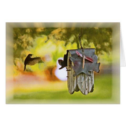 Homeward Bound (Vorderseite (Horizontal))