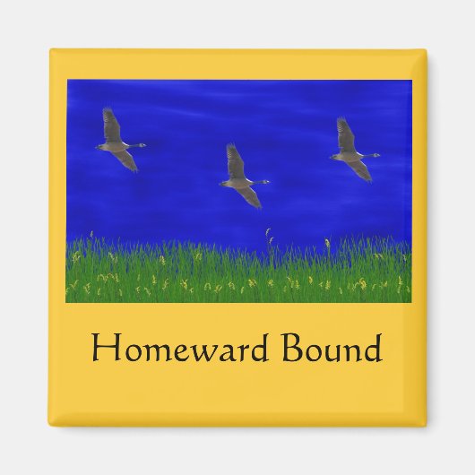 HOMEWARD BOUND MAGNET (Vorne)