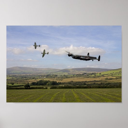 Homeward Bound Poster (Vorne)