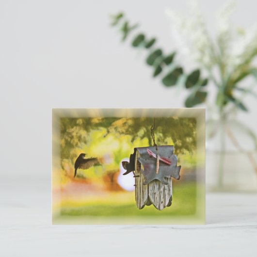 Homeward Bound Postkarte (Stehend Vorderseite)