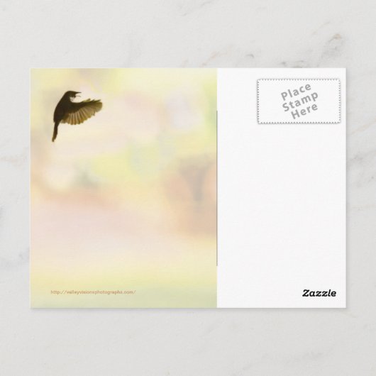 Homeward Bound Postkarte (Rückseite)