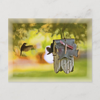 Homeward Bound Postkarte