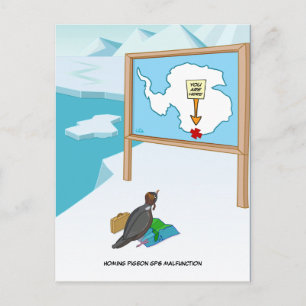 Homing Pigeon GPS Malfunction Postcard Postkarte