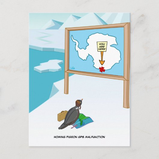 Homing Pigeon GPS Malfunction Postcard Postkarte (Vorderseite)