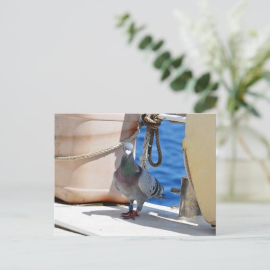 Homing Taube Postkarte (Stehend Vorderseite)