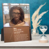 Homo erectus; Museumsausstellung Fotoplatte (Seite)