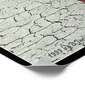 Homo Pholidota Medius - Poster (Ecke)