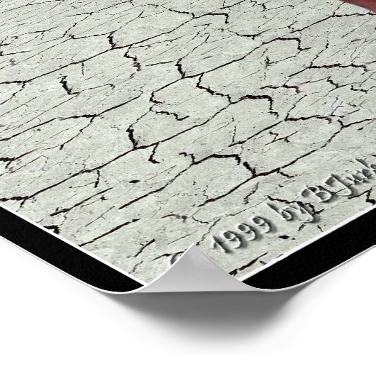 Homo Pholidota Medius - Poster (Ecke)