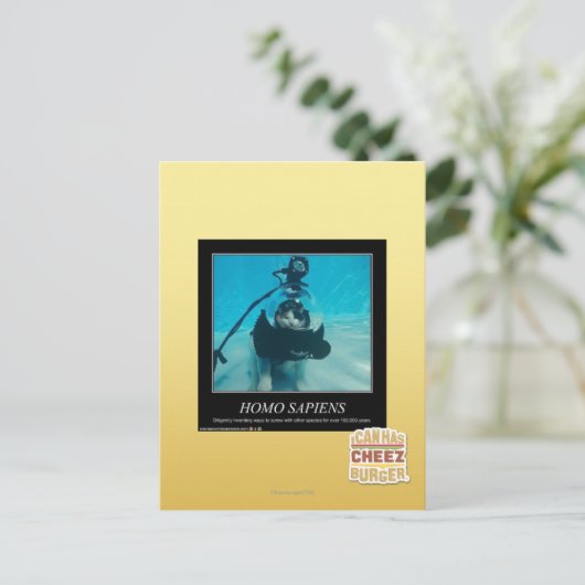 Homo Sapiens Postkarte (Stehend Vorderseite)