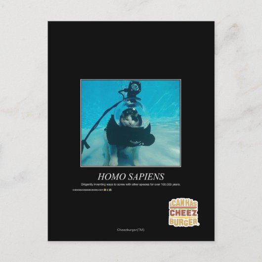 Homo Sapiens Postkarte (Vorderseite)