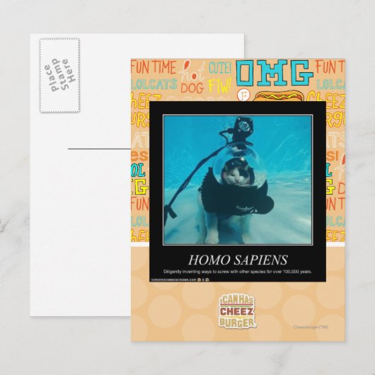 Homo Sapiens Postkarte (Vorne/Hinten)