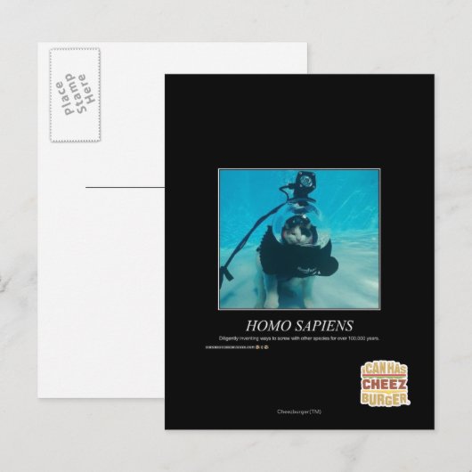 Homo Sapiens Postkarte (Vorne/Hinten)