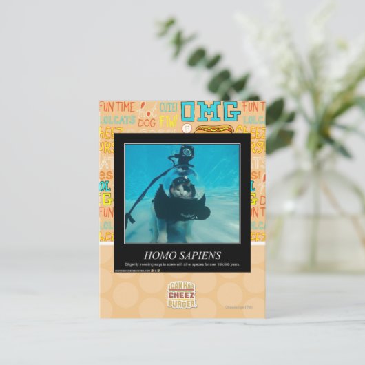 Homo Sapiens Postkarte (Stehend Vorderseite)