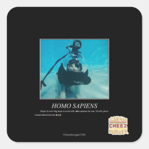 Homo Sapiens Quadratischer Aufkleber
