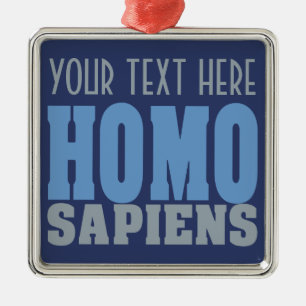 HOMO SAPIENS-Zollschmuck Silbernes Ornament