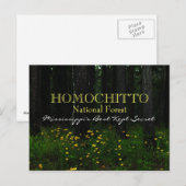 Homochitto National Forest - Mississippi Postkarte (Vorne/Hinten)