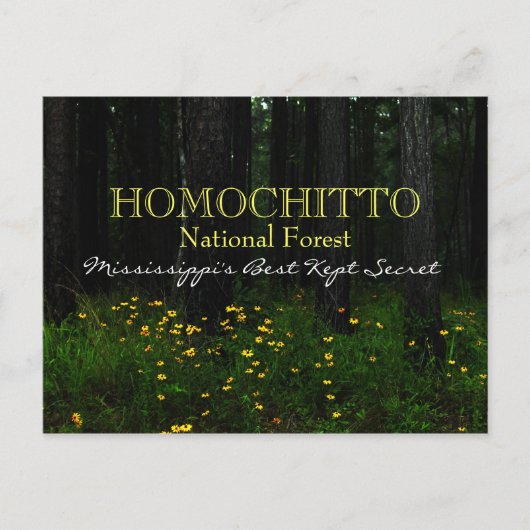 Homochitto National Forest - Mississippi Postkarte (Vorderseite)