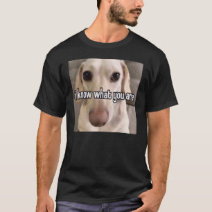 Homophobischer Hund ich weiß, was du bist T-Shirt