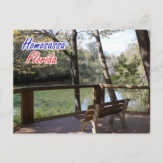Homosassa Florida Postcard Postkarte (Vorderseite)