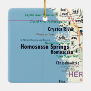 Homosassa Springs Florida Karte Keramikornament