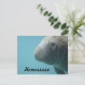 Homossasa Springs Postkarte (Stehend Vorderseite)