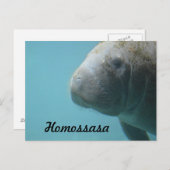 Homossasa Springs Postkarte (Vorne/Hinten)
