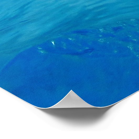 Honaunau Hawaii landschaftliches Foto Plakatdruck Poster (Ecke)