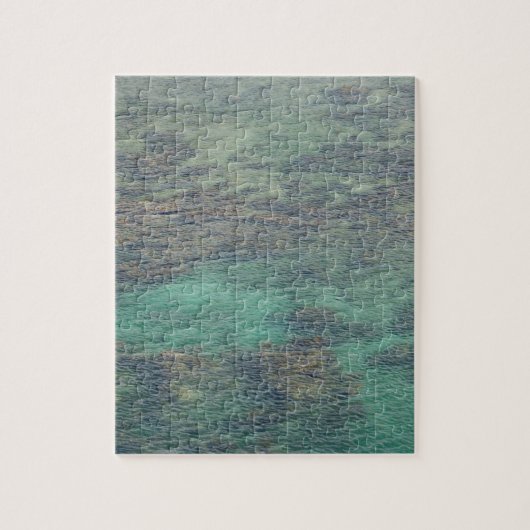 Honduras Coral Reef - hard Puzzle (Vertikal)