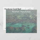 Honduras Coral Reef Postkarte (Vorne/Hinten)