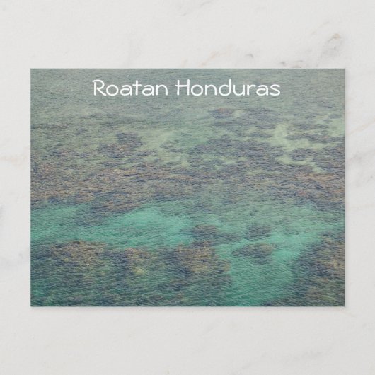 Honduras Coral Reef Postkarte (Vorderseite)