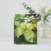Honduras Hazelnut Postkarte (Stehend Vorderseite)