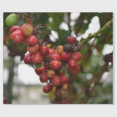 Honduras-Kaffeebohnen Geschenkpapier (Flach)