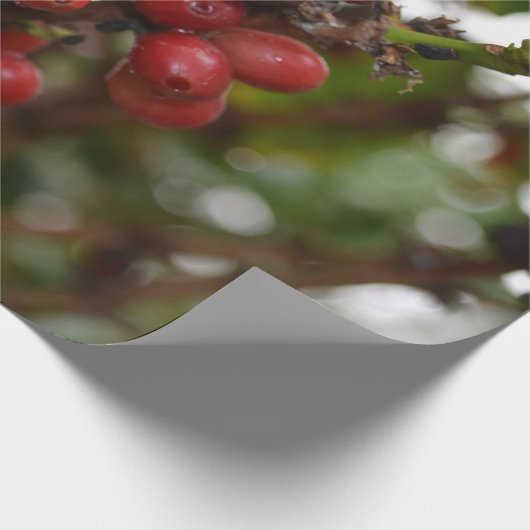Honduras-Kaffeebohnen Geschenkpapier (Ecke)