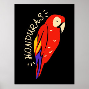 Honduras Parrot Poster