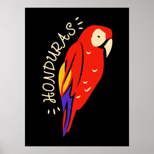 Honduras Parrot Poster (Vorne)