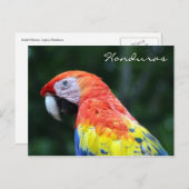 Honduras Postkarte (Vorne/Hinten)