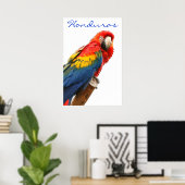 Honduras Scarlet Macaw Poster (Heimbüro)