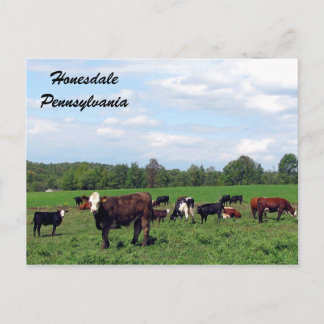 Honesdale Pennsylvania Postcard Postkarte