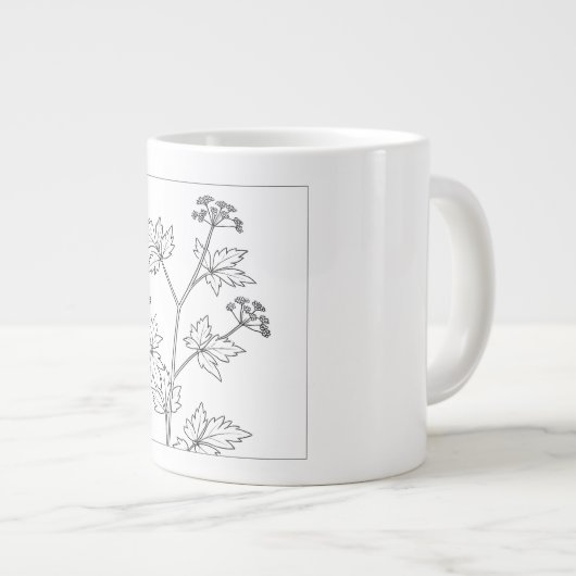 Honewort - Cryptotaenie canadensis - Native Pflanz Jumbo-Tasse (Vorderseite Rechts)