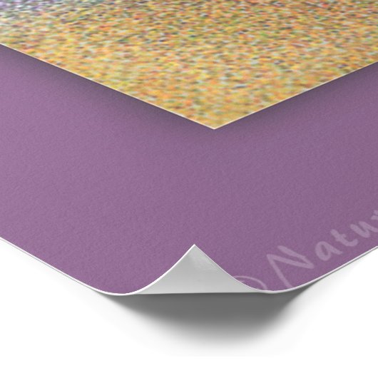 Honey Badger Baby Poster -60x40 - oder kleiner (Ecke)