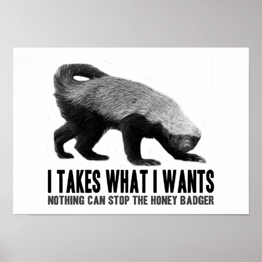 Honey Badger - Ich nehme, was ich Gewollt habe Poster (Vorne)