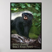 Honey Badger V2 Poster -40x60 -andere Größen auch (Vorne)