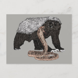 Honey Badger verses Schlangendarstellung Postkarte