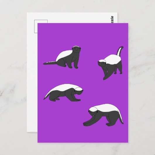 Honey Badgers Postkarte (Vorne/Hinten)