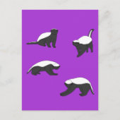 Honey Badgers Postkarte (Vorderseite)