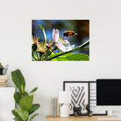 Honey Bee & Apple Blossom Poster (Heimbüro)