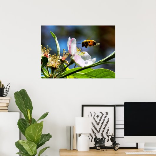 Honey Bee & Apple Blossom Poster (Heimbüro)