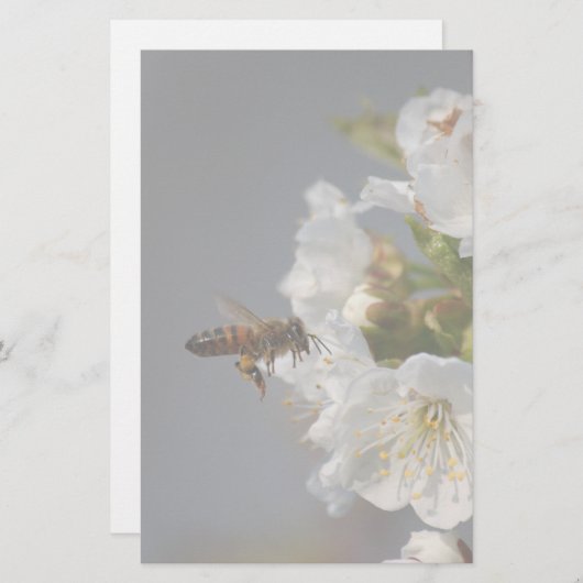 Honey Bee Briefpapier (Vorne/Hinten)